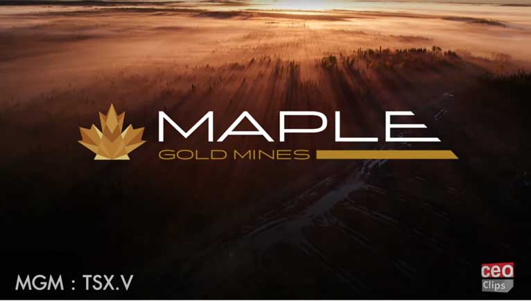 CEO Clips Maple Gold Mines